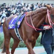 ヒメ日記 2026/04/25 06:47 投稿 あさひ SOAPLAND LOVE FACTORY