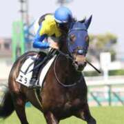 ヒメ日記 2026/04/25 07:01 投稿 あさひ SOAPLAND LOVE FACTORY