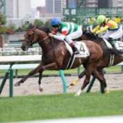 ヒメ日記 2026/04/25 07:32 投稿 あさひ SOAPLAND LOVE FACTORY