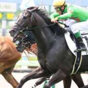 ヒメ日記 2026/04/25 08:48 投稿 あさひ SOAPLAND LOVE FACTORY