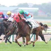 ヒメ日記 2026/04/25 09:32 投稿 あさひ SOAPLAND LOVE FACTORY