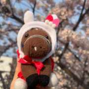 ヒメ日記 2026/04/26 17:42 投稿 あさひ SOAPLAND LOVE FACTORY