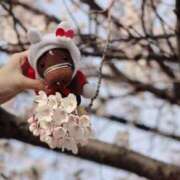 ヒメ日記 2026/04/26 17:46 投稿 あさひ SOAPLAND LOVE FACTORY