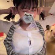 ヒメ日記 2026/04/28 10:05 投稿 あさひ SOAPLAND LOVE FACTORY