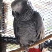 ヒメ日記 2026/04/29 15:33 投稿 あさひ SOAPLAND LOVE FACTORY