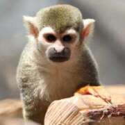 ヒメ日記 2026/04/29 15:35 投稿 あさひ SOAPLAND LOVE FACTORY