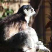 ヒメ日記 2026/04/29 15:45 投稿 あさひ SOAPLAND LOVE FACTORY