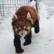 ヒメ日記 2026/04/29 15:50 投稿 あさひ SOAPLAND LOVE FACTORY