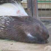 ヒメ日記 2026/04/29 16:10 投稿 あさひ SOAPLAND LOVE FACTORY