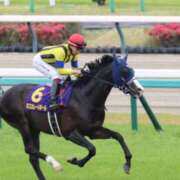 ヒメ日記 2026/04/29 16:25 投稿 あさひ SOAPLAND LOVE FACTORY