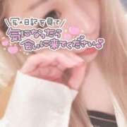 ヒメ日記 2024/11/25 19:37 投稿 ひめか 美女Cafe