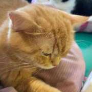 ヒメ日記 2025/09/26 13:00 投稿 ほなみ 熟女の風俗最終章 高崎店