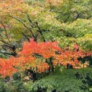 ヒメ日記 2025/11/14 12:18 投稿 ほなみ 熟女の風俗最終章 高崎店