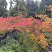 ヒメ日記 2025/11/16 17:48 投稿 ほなみ 熟女の風俗最終章 高崎店