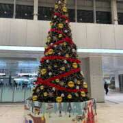 ヒメ日記 2025/12/09 12:21 投稿 ほなみ 熟女の風俗最終章 高崎店