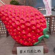 ヒメ日記 2026/02/20 15:59 投稿 ほなみ 熟女の風俗最終章 高崎店