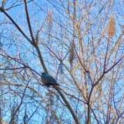 ヒメ日記 2025/02/14 19:03 投稿 ふみこ 完熟ばなな神戸・三宮店