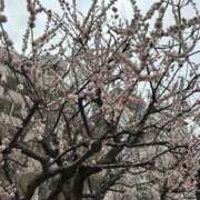 ヒメ日記 2025/03/15 15:13 投稿 ふみこ 完熟ばなな神戸・三宮店