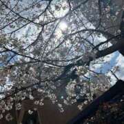 ヒメ日記 2025/04/01 16:09 投稿 ふみこ 完熟ばなな神戸・三宮店