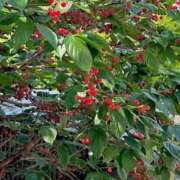 ヒメ日記 2025/05/15 10:34 投稿 ふみこ 完熟ばなな神戸・三宮店