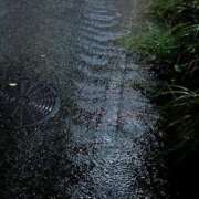 ヒメ日記 2025/05/29 20:07 投稿 ふみこ 完熟ばなな神戸・三宮店