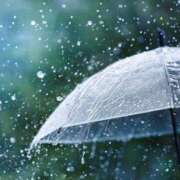 ヒメ日記 2025/06/03 10:27 投稿 ふみこ 完熟ばなな神戸・三宮店