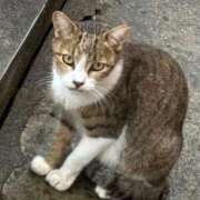 ヒメ日記 2025/08/08 13:31 投稿 ふみこ 完熟ばなな神戸・三宮店