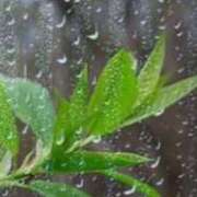 ヒメ日記 2025/08/11 11:39 投稿 ふみこ 完熟ばなな神戸・三宮店