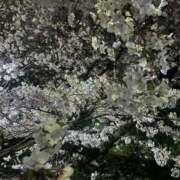 ヒメ日記 2026/03/30 10:12 投稿 ふみこ 完熟ばなな神戸・三宮店