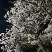 ヒメ日記 2026/04/07 10:28 投稿 ふみこ 完熟ばなな神戸・三宮店