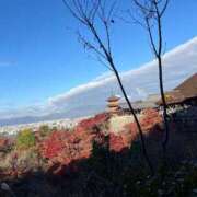 ヒメ日記 2025/11/30 12:02 投稿 れいさ 淫乱痴女エステ