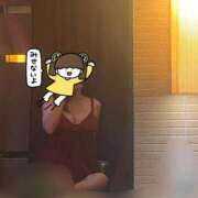 ヒメ日記 2024/12/12 21:02 投稿 れな☆新人2000円OFF AROMA LUXE PLATINUM 宮崎