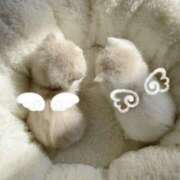 ヒメ日記 2025/06/23 00:32 投稿 ひめか Charme（シャルム）