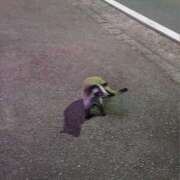 ヒメ日記 2025/07/13 11:18 投稿 月見ゆきね(つきみゆきね) 五十路マダムエクスプレス厚木店(カサブランカグループ)