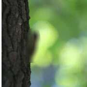 ヒメ日記 2025/08/23 12:08 投稿 月見ゆきね(つきみゆきね) 五十路マダムエクスプレス厚木店(カサブランカグループ)