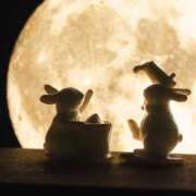 ヒメ日記 2025/10/06 14:16 投稿 月見ゆきね(つきみゆきね) 五十路マダムエクスプレス厚木店(カサブランカグループ)