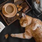 ヒメ日記 2025/11/01 15:14 投稿 月見ゆきね(つきみゆきね) 五十路マダムエクスプレス厚木店(カサブランカグループ)