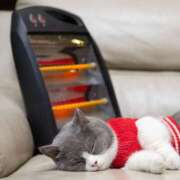 ヒメ日記 2025/11/06 16:18 投稿 月見ゆきね(つきみゆきね) 五十路マダムエクスプレス厚木店(カサブランカグループ)