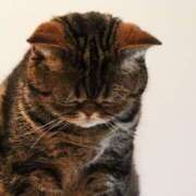 ヒメ日記 2025/11/13 10:16 投稿 月見ゆきね(つきみゆきね) 五十路マダムエクスプレス厚木店(カサブランカグループ)