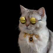 ヒメ日記 2025/12/21 12:08 投稿 月見ゆきね(つきみゆきね) 五十路マダムエクスプレス厚木店(カサブランカグループ)