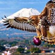 ヒメ日記 2026/01/02 11:10 投稿 月見ゆきね(つきみゆきね) 五十路マダムエクスプレス厚木店(カサブランカグループ)