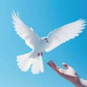 ヒメ日記 2026/01/11 13:00 投稿 月見ゆきね(つきみゆきね) 五十路マダムエクスプレス厚木店(カサブランカグループ)