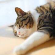 ヒメ日記 2026/02/06 11:26 投稿 月見ゆきね(つきみゆきね) 五十路マダムエクスプレス厚木店(カサブランカグループ)