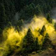 ヒメ日記 2026/03/08 12:12 投稿 月見ゆきね(つきみゆきね) 五十路マダムエクスプレス厚木店(カサブランカグループ)