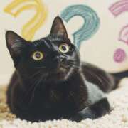 ヒメ日記 2026/03/14 14:24 投稿 月見ゆきね(つきみゆきね) 五十路マダムエクスプレス厚木店(カサブランカグループ)