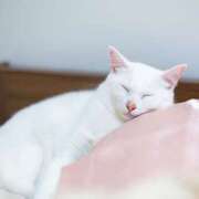 ヒメ日記 2026/03/15 12:30 投稿 月見ゆきね(つきみゆきね) 五十路マダムエクスプレス厚木店(カサブランカグループ)