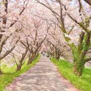 ヒメ日記 2026/03/28 12:18 投稿 月見ゆきね(つきみゆきね) 五十路マダムエクスプレス厚木店(カサブランカグループ)