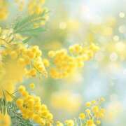 ヒメ日記 2026/04/19 14:06 投稿 月見ゆきね(つきみゆきね) 五十路マダムエクスプレス厚木店(カサブランカグループ)