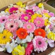 ヒメ日記 2025/07/29 00:19 投稿 なぎさ ギン妻パラダイス 堺東店