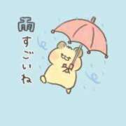 ヒメ日記 2026/09/15 14:17 投稿 なぎさ ギン妻パラダイス 堺東店